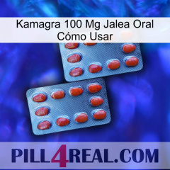 Kamagra 100 Mg Jalea Oral Cómo Usar 05